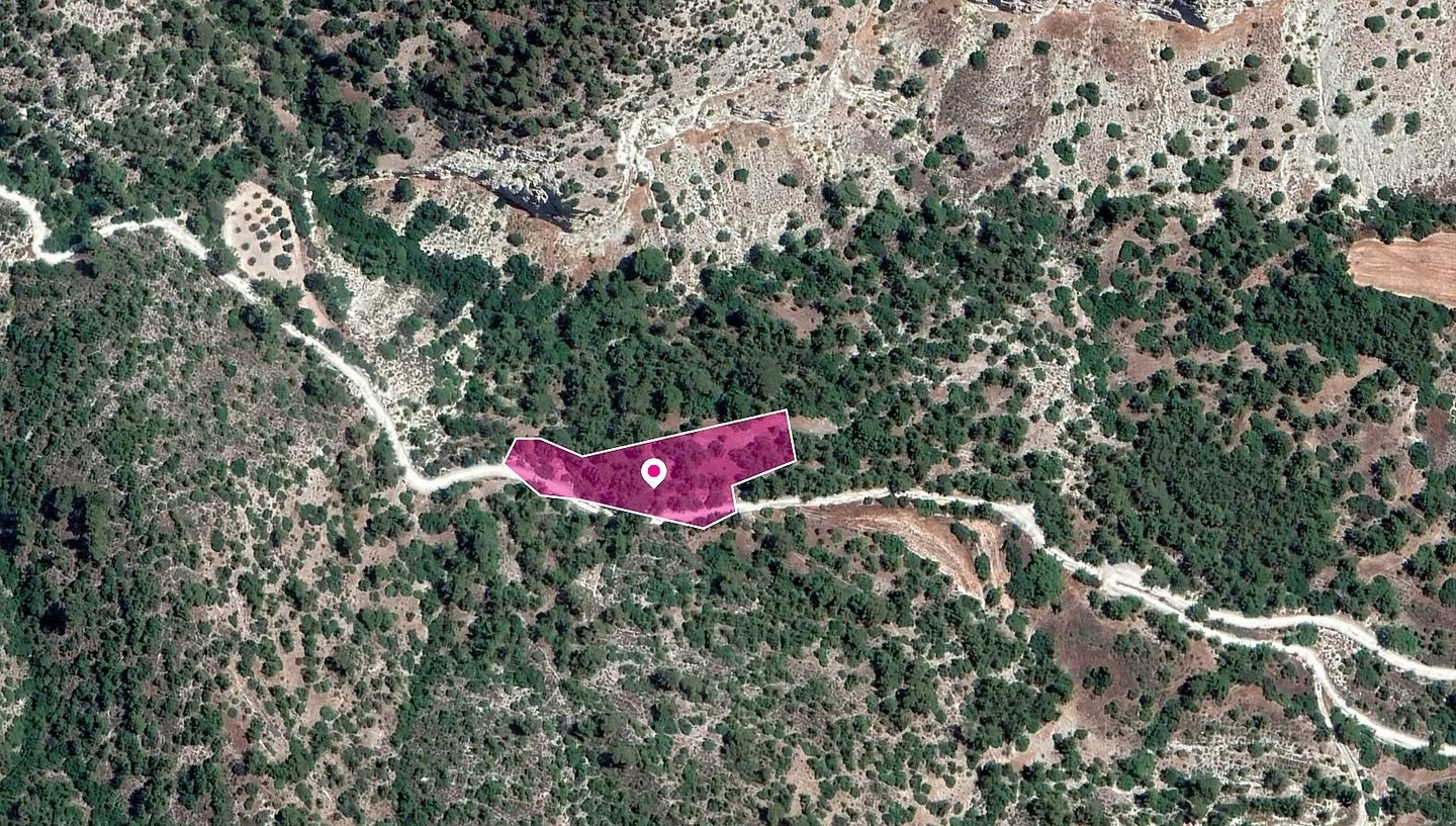 Field in Amargeti Paphos, image 1