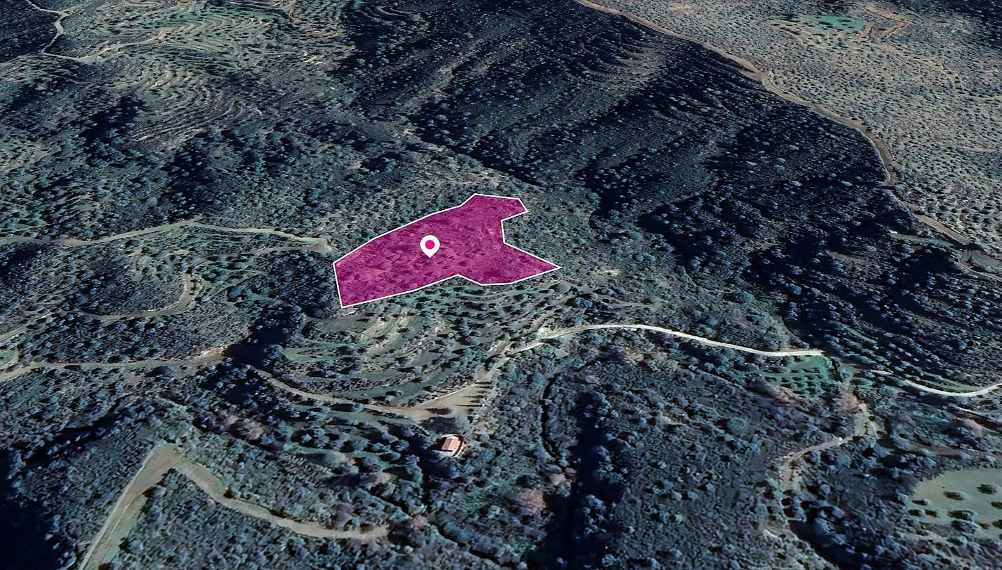 Field in Vavla Larnaca, image 1