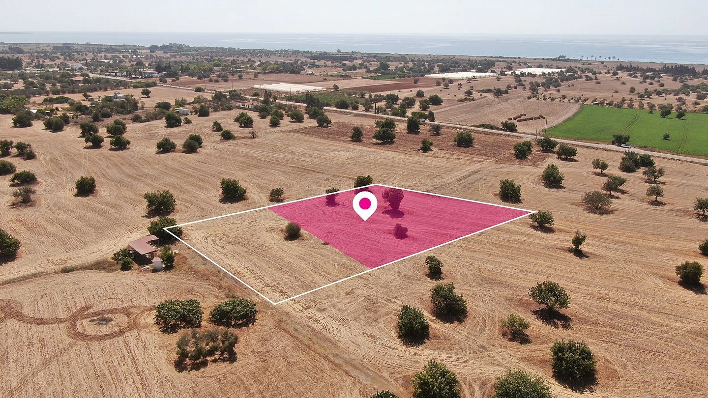 Share Touristic Field in Mazotos Larnaca, image 1