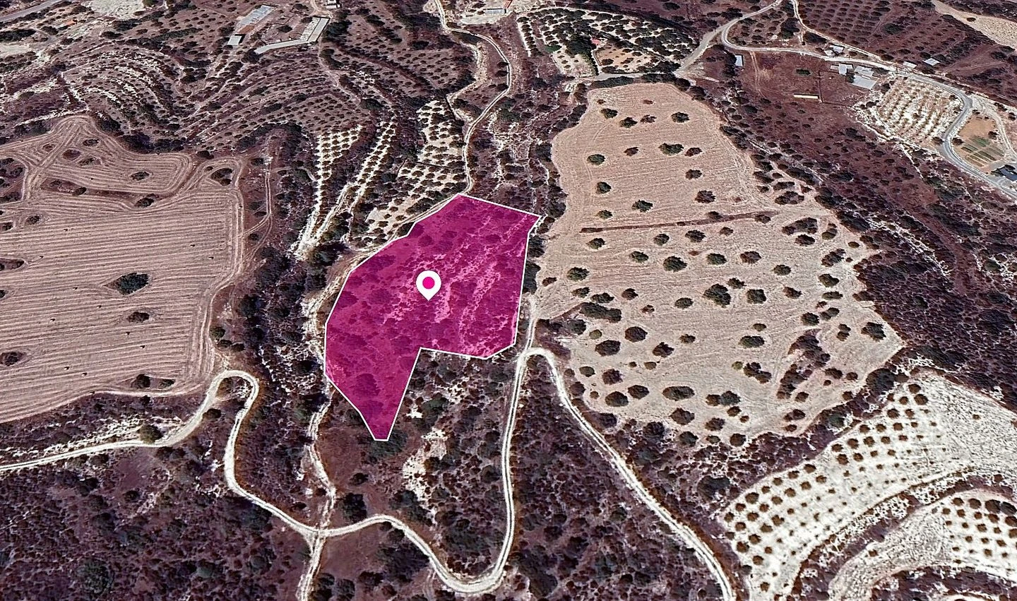 Special Protection zoned field in Kalavasos Larnaca, image 1