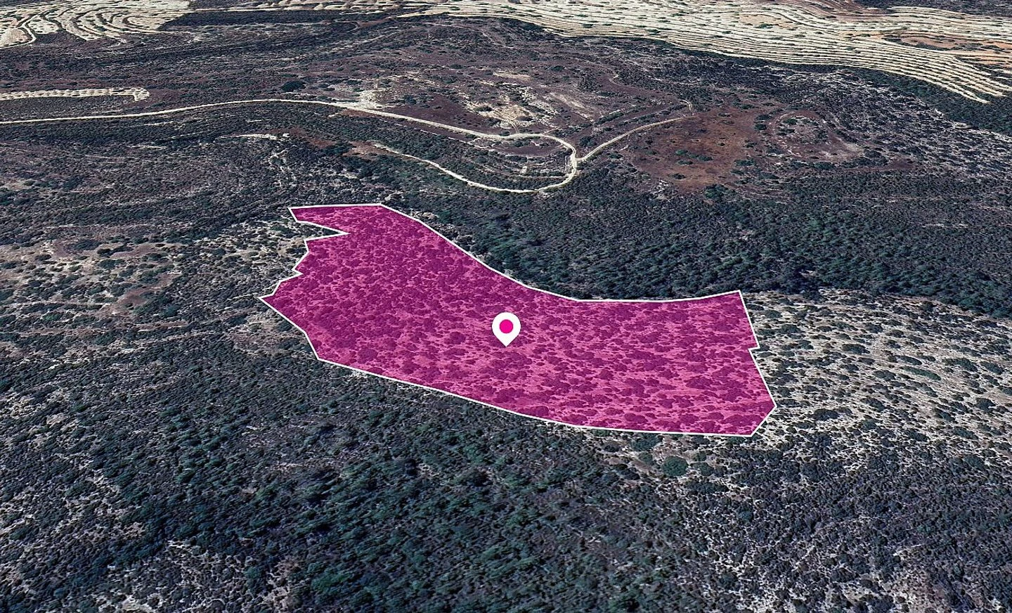 ShareSpecial Protection Zoned Field in Apsiou Limassol, image 1