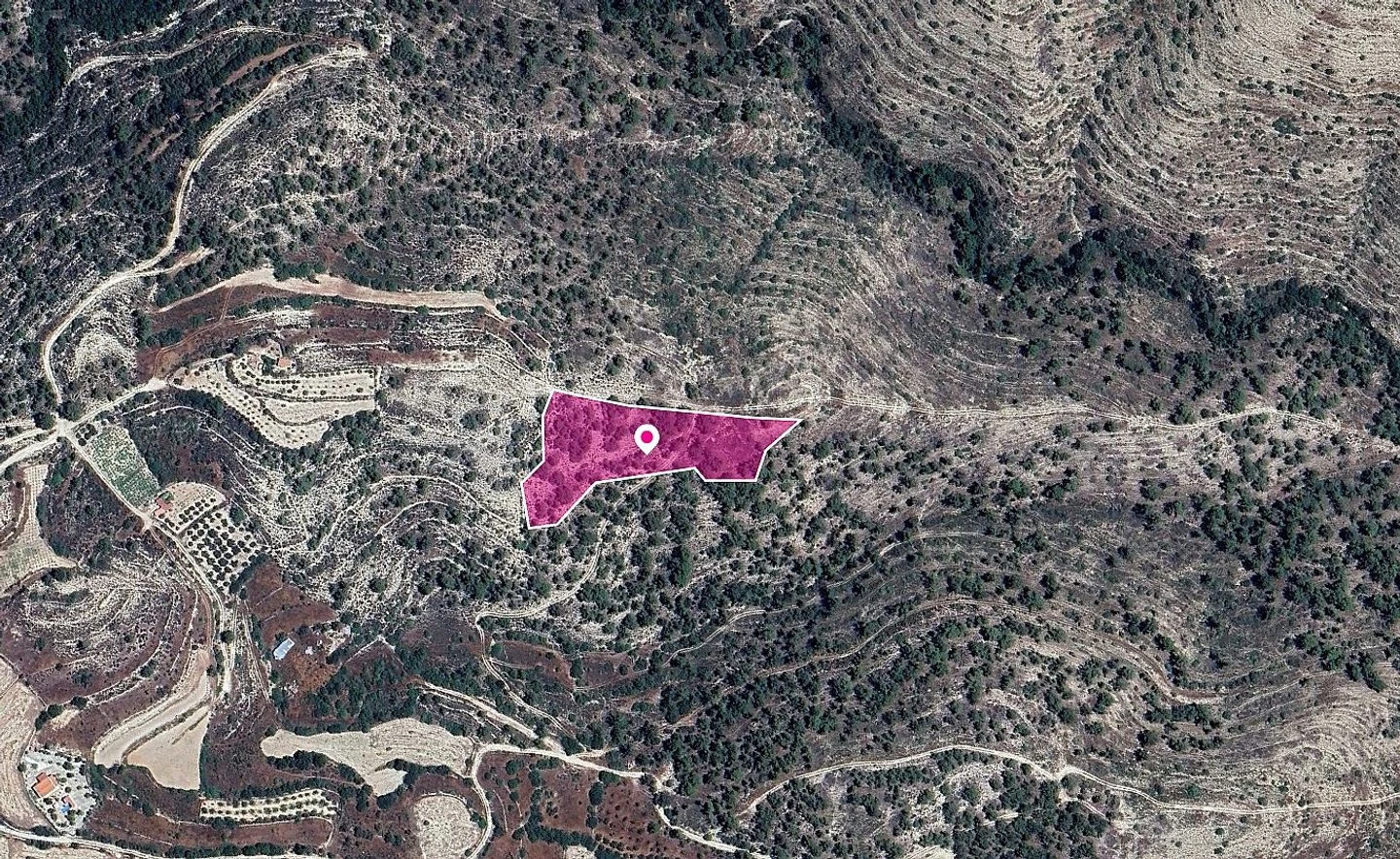 Share Field in Agios Therapon Community Limassol, image 1