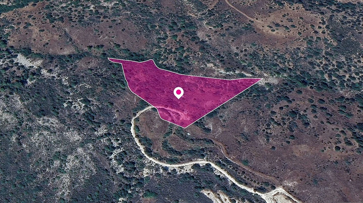 Field in Prastio Paphos, image 1