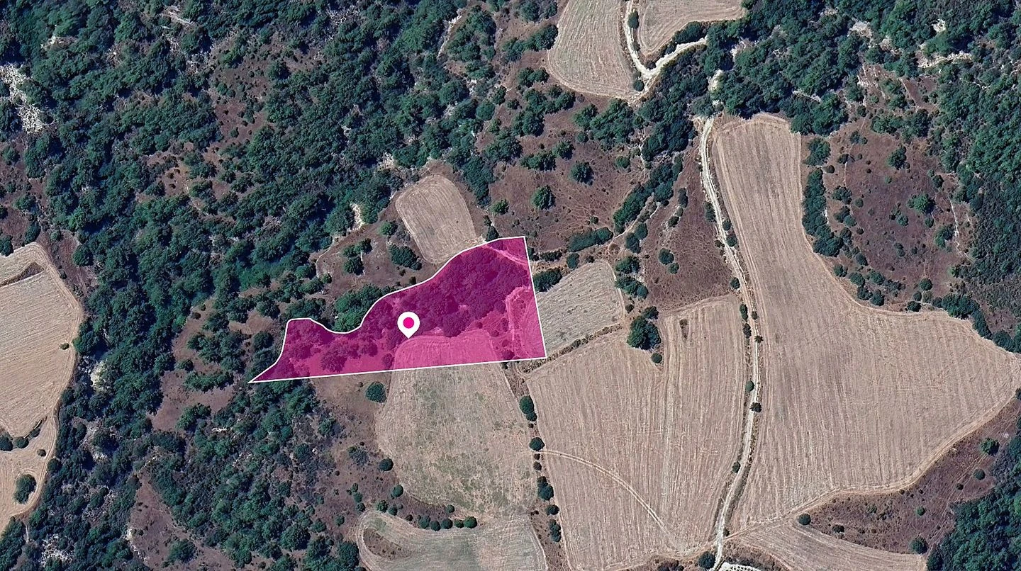 Field in Mousere Paphos, image 1