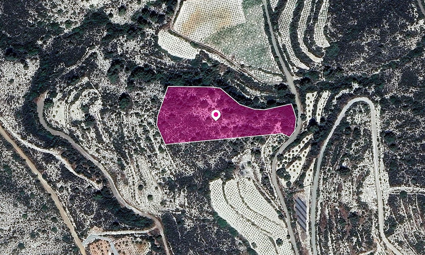 Field in Agios Mamas Community Limassol, image 1