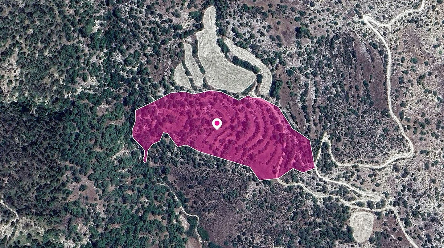 Field Amargeti Paphos, image 1