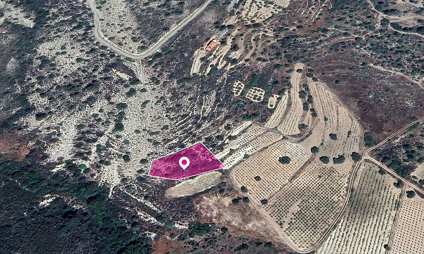 Residential field in Agios Mamas Community Limassol, image 1