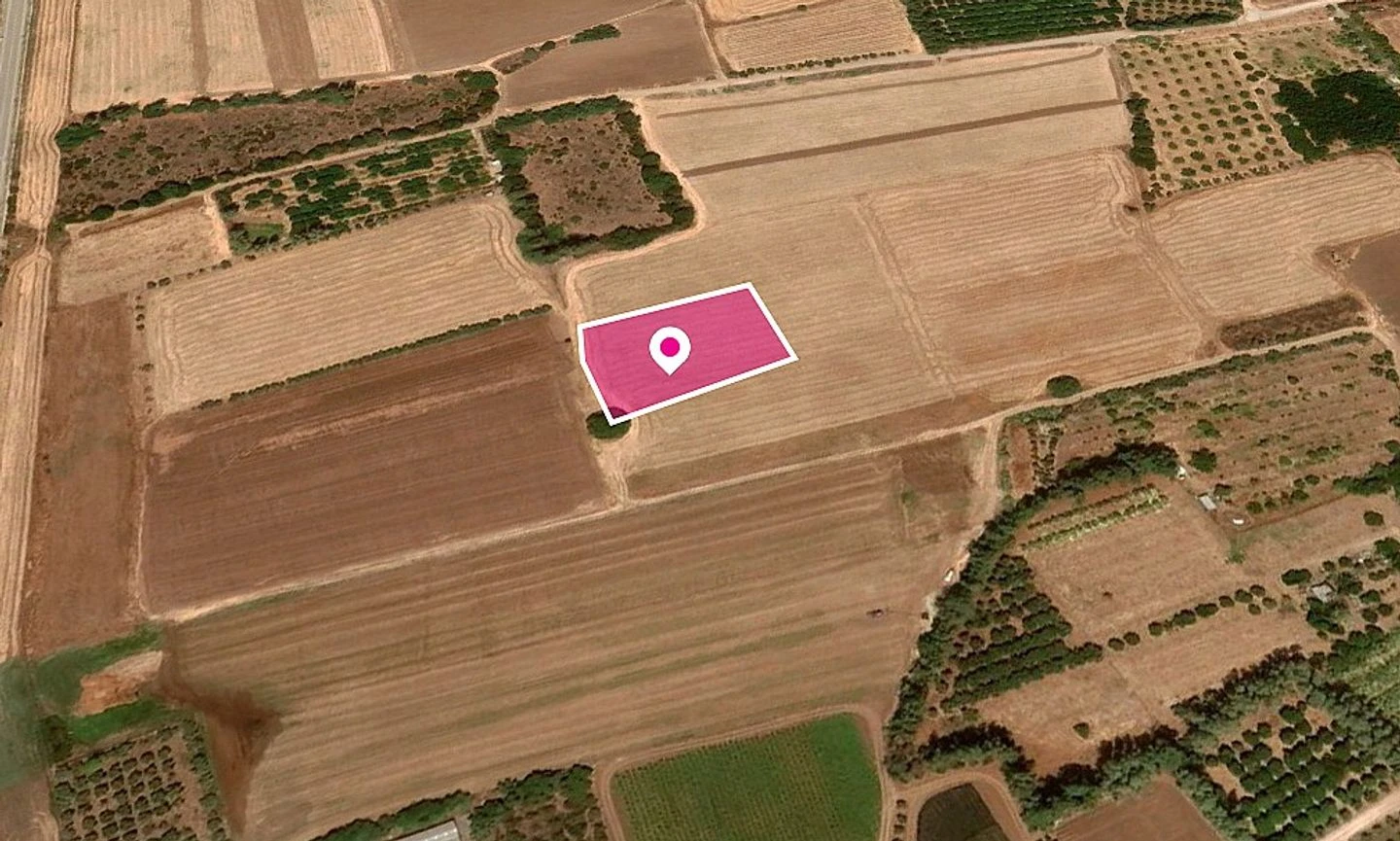 Shared Agricultural Field Timi Paphos, image 1
