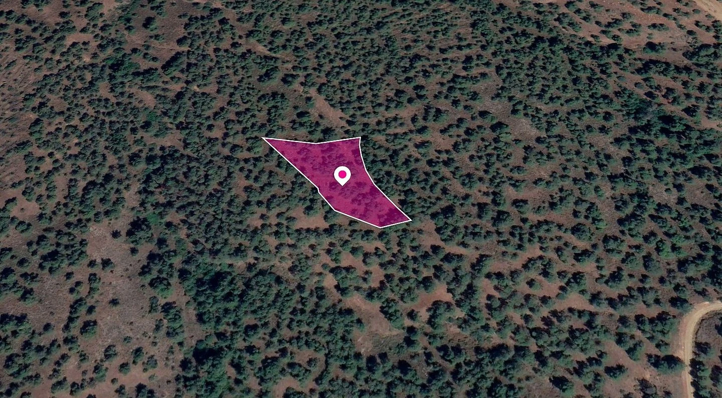 Field in Theodoro Soleas Nicosia, image 1