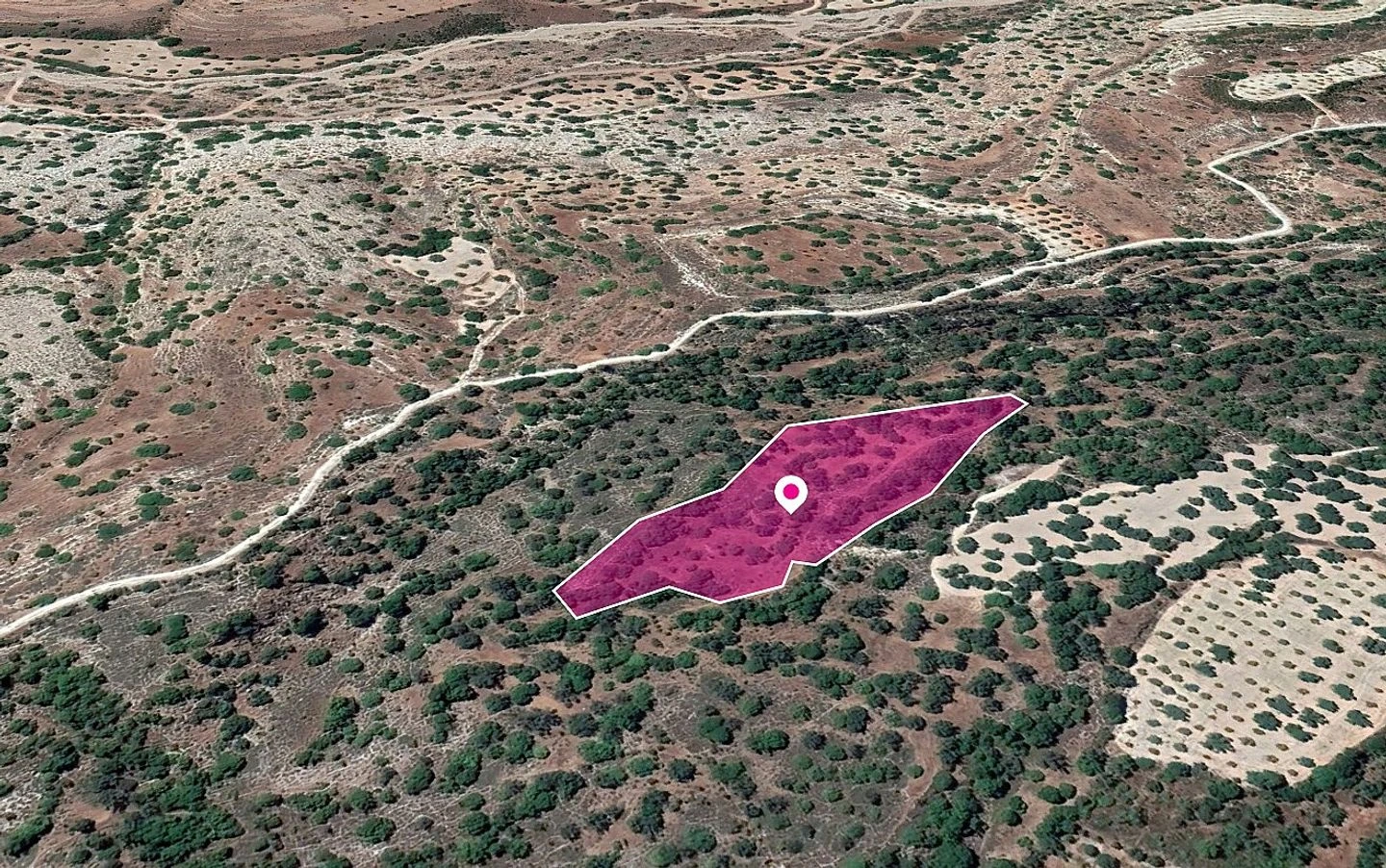 Share of agricultural Field in Kannaviou  Melamiou Paphos, image 1