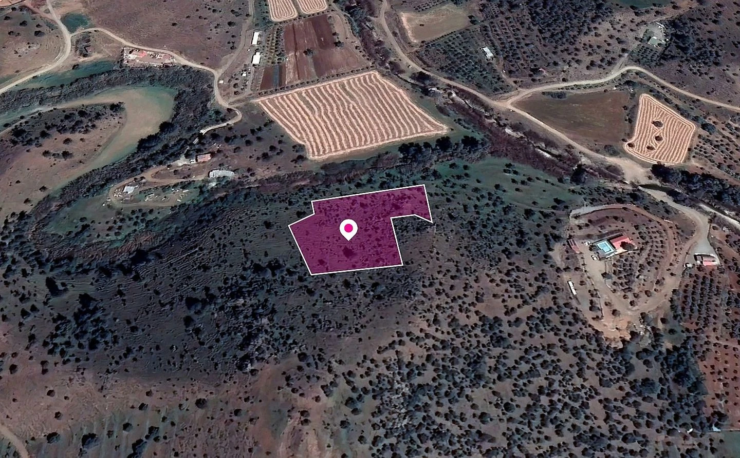Field in Psevdas Larnaca, image 1