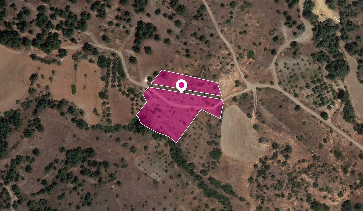 Field in Mitsero Nicosia, image 1