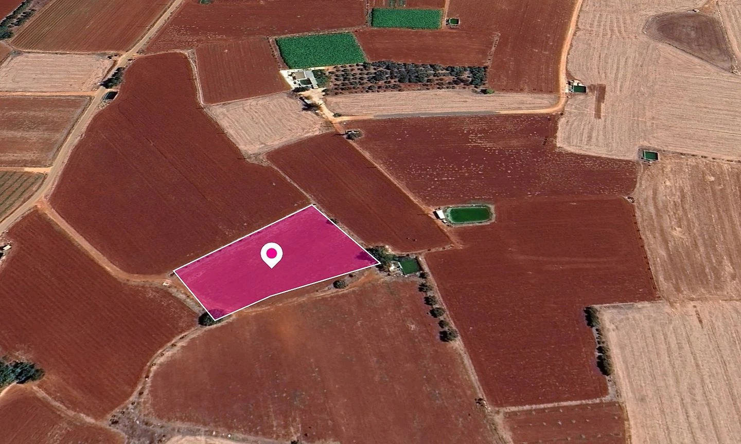 Field in Sotira Ammochostos, image 1