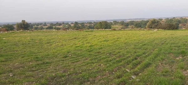 Agricultural land 6355 m² €60.000, image 1