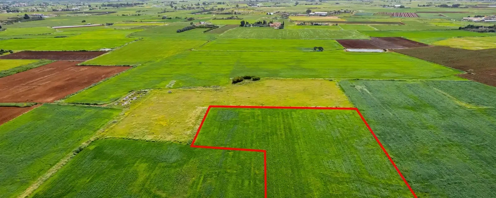 (Share) Agricultural land 7523 m², image 1