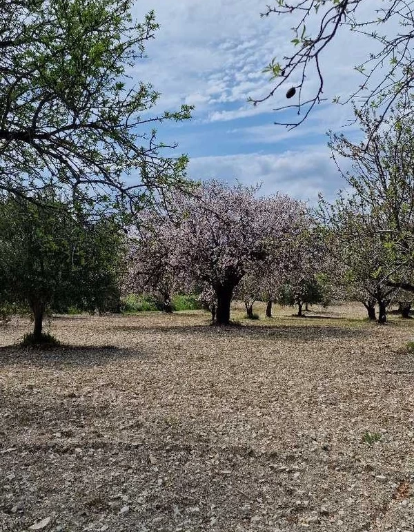 Agricultural land 4000 m² €55.000, image 1