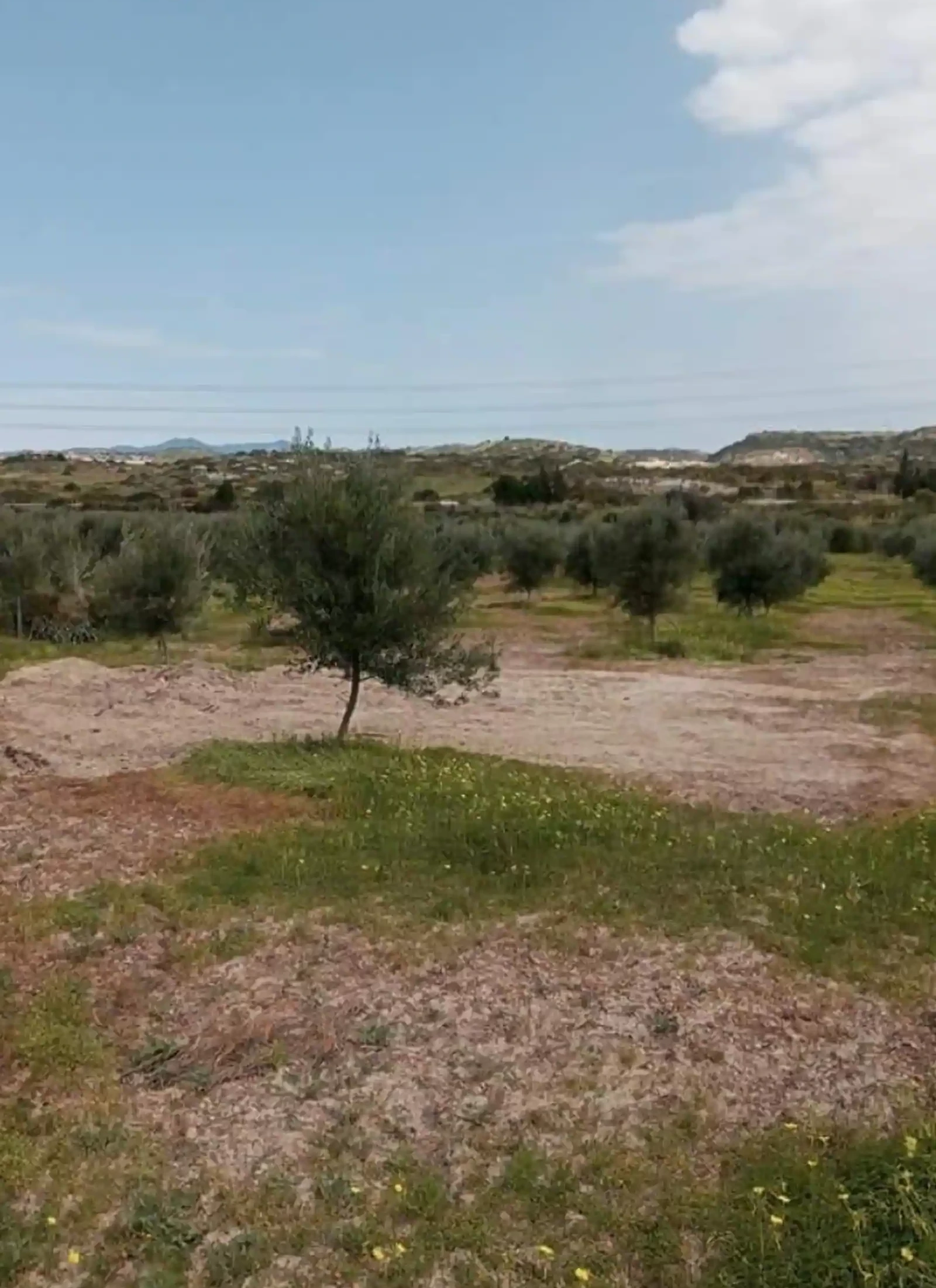 Agricultural land 5680 m² €56.000, image 1