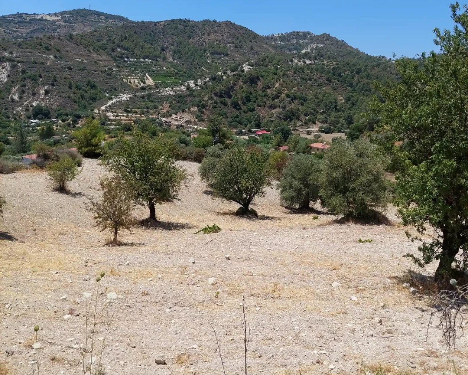 Agricultural land 15385 m² €49.000, image 1