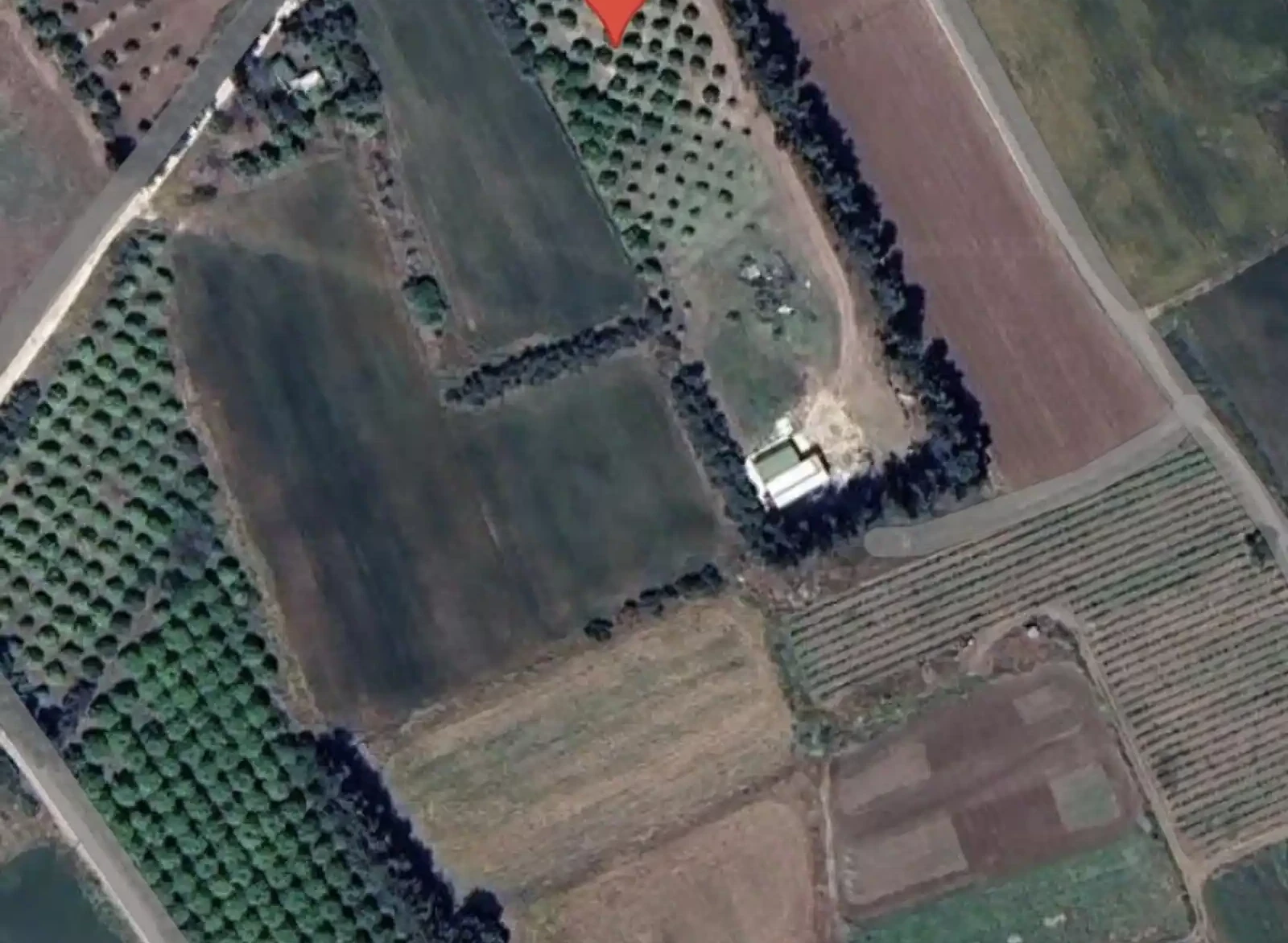 Agricultural land 10034 m² €230.000, image 1