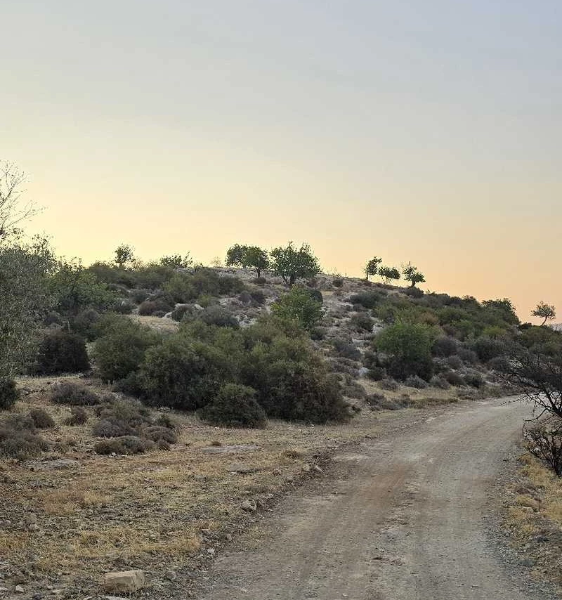 Agricultural land 7358 m², image 1