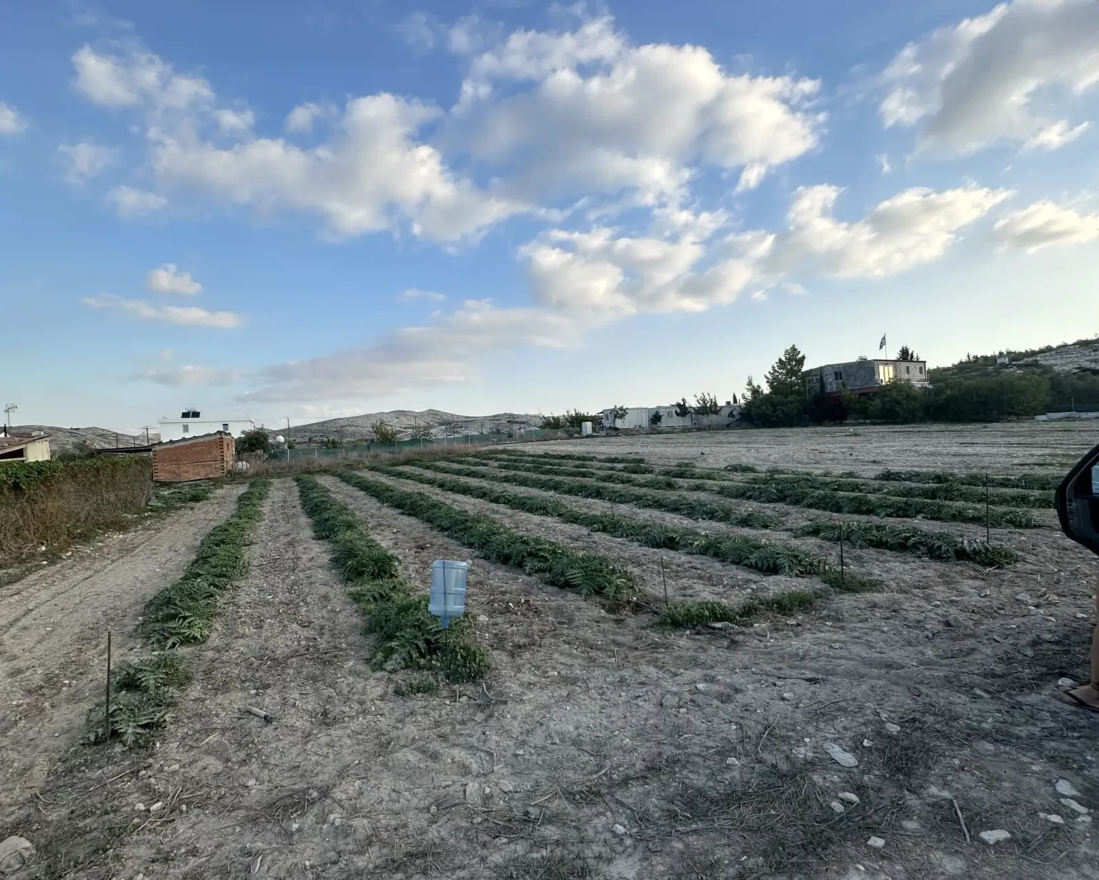 Agricultural land 3494 m², image 1