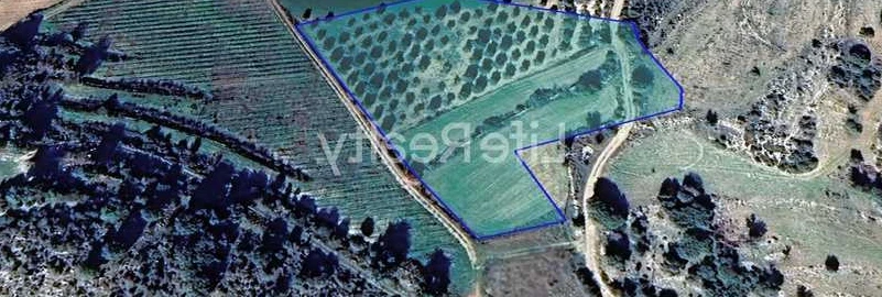 Agricultural land 7358 m², image 1