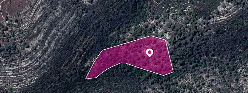 Agricultural land 10368 m², image 1