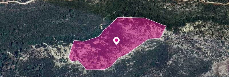 Agricultural land 45820 m², image 1