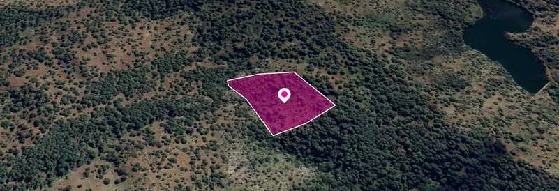 Agricultural land 17057 m², image 1