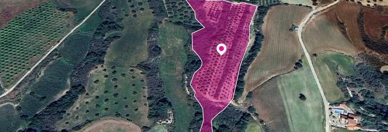 Agricultural land 8559 m², image 1