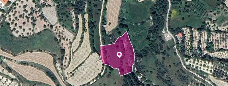 Agricultural land 5686 m², image 1