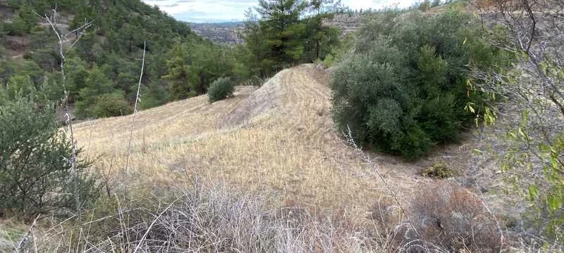 Agricultural land 20290 m², image 1