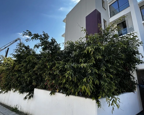 2-bedroom apartment to rent €4.500, image 1