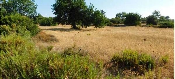 Residential land 7300 m² €315.000, image 1