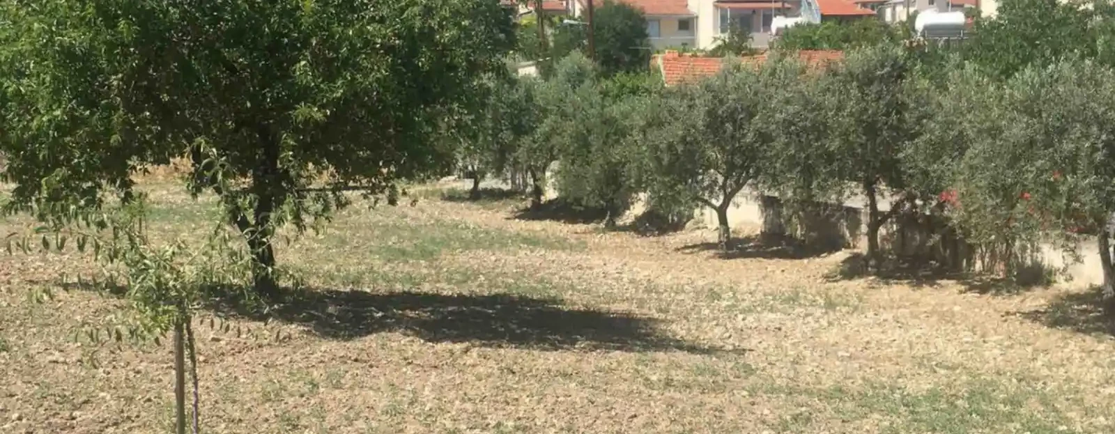 Residential land 3669 m² €220.000, image 1