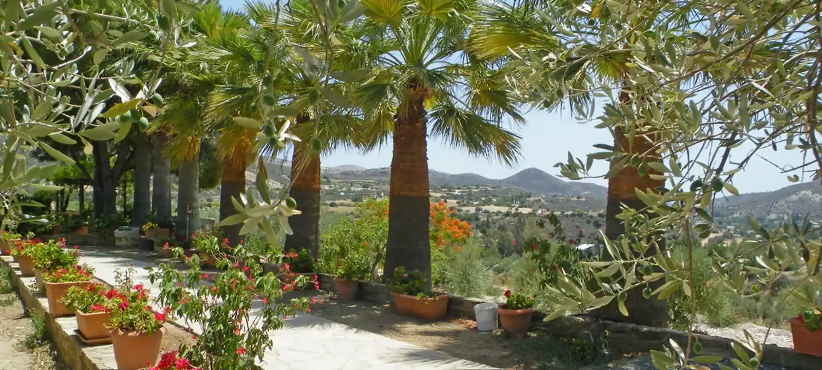 Residential land 7358 m² €250.000, image 1