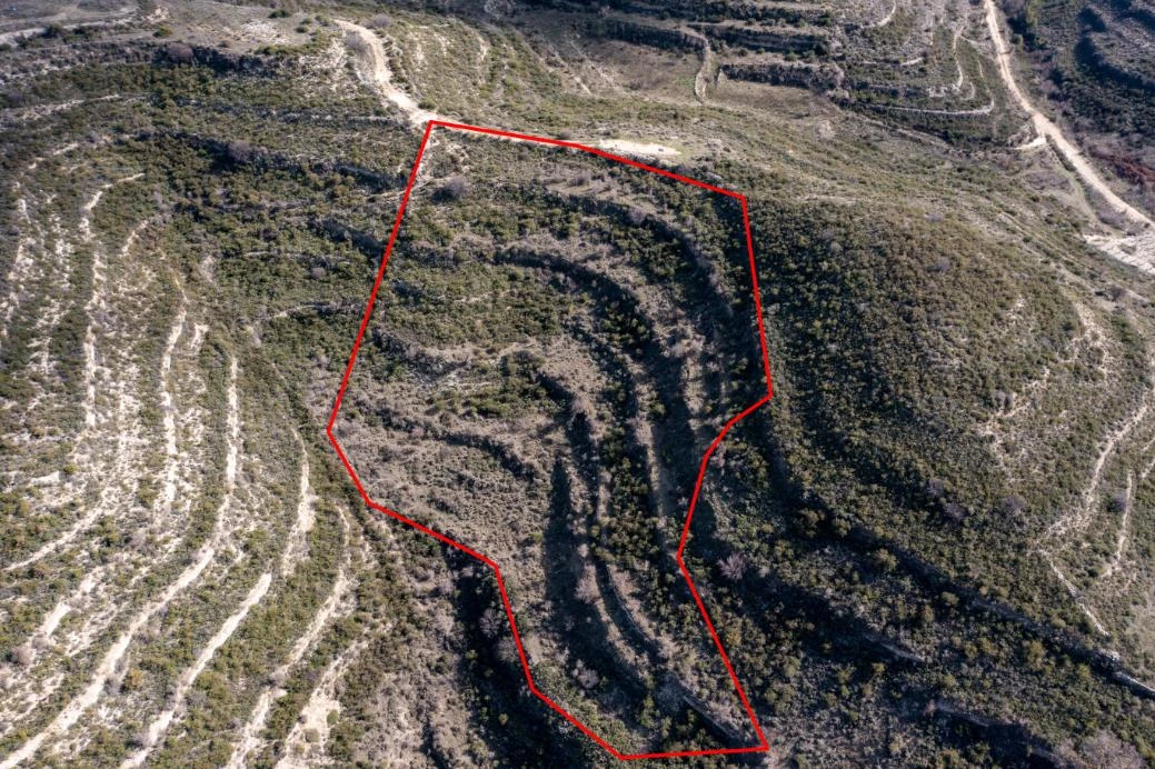 Agricultural field in Pachna Limassol, image 1