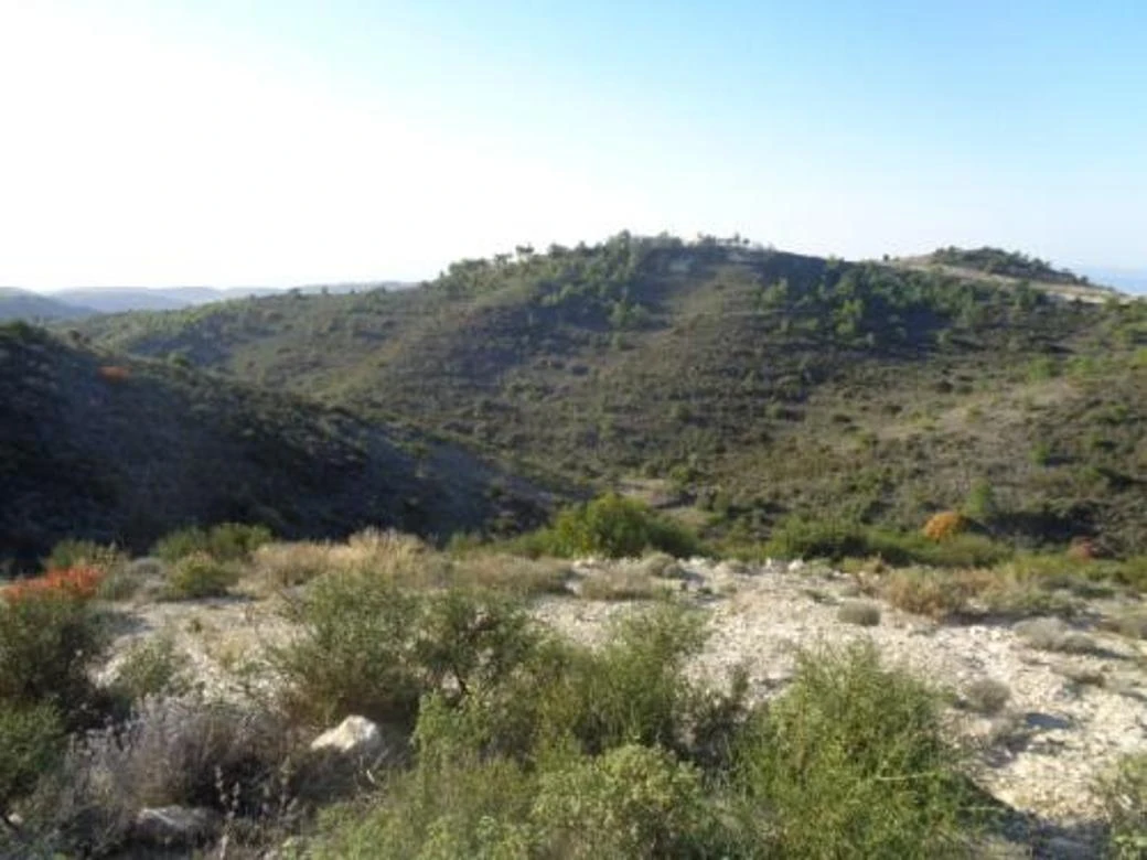 Agricultural field in Asgata Limassol, image 1