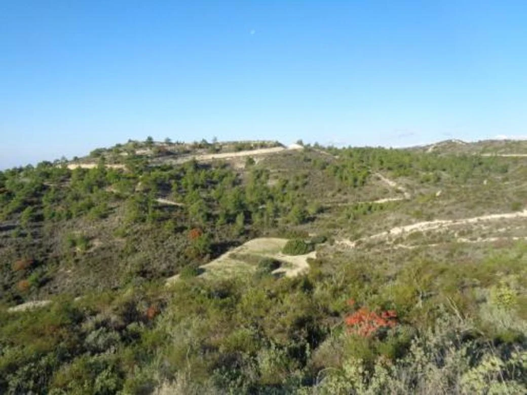 Agricultural field in Asgata Limassol, image 1