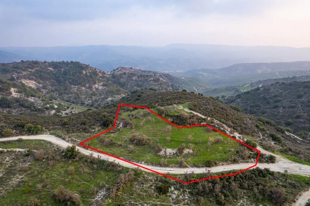 Shared agricultural field in Salamiou Paphos, image 1