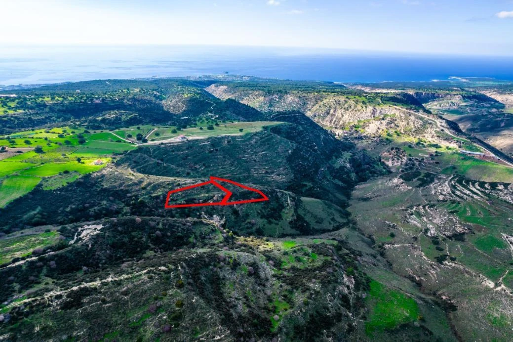 Agricultural fields in Pegeia Paphos, image 1