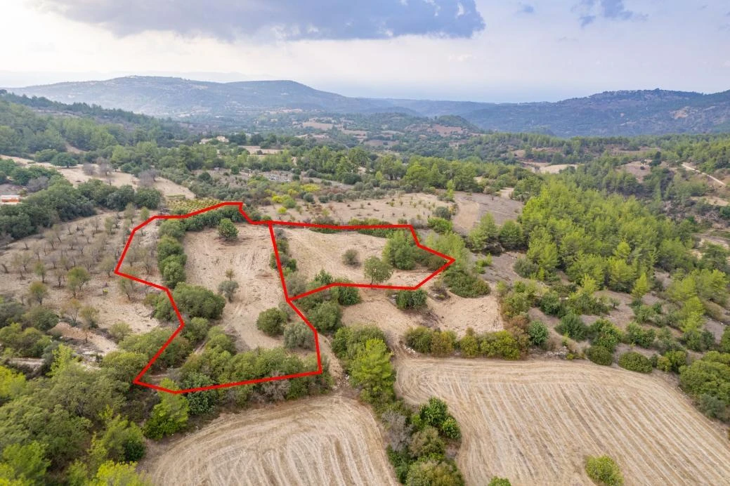 Agricultural fields in Lysos Paphos, image 1