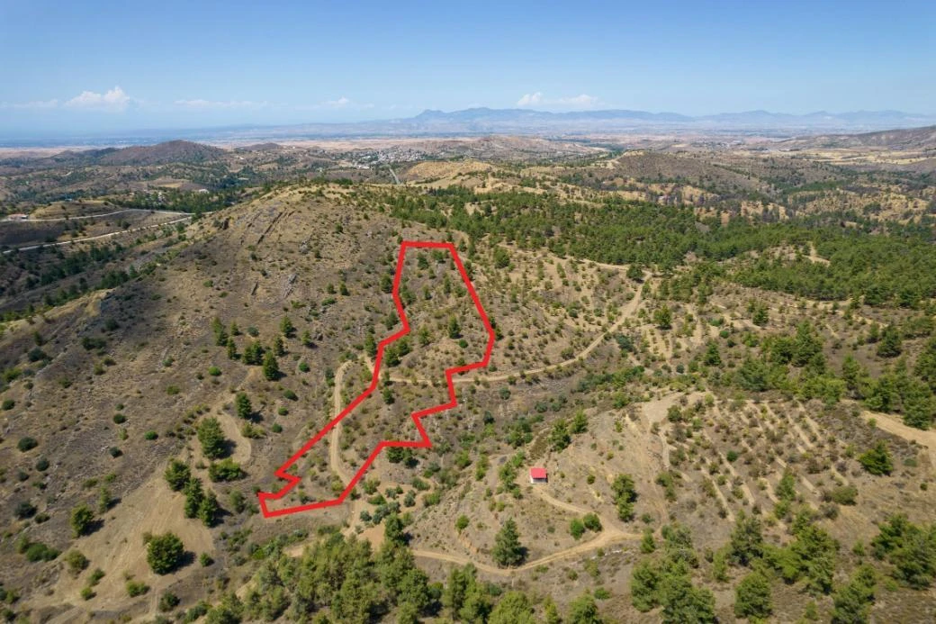 Agricultural field in Xyliatos Nicosia, image 1