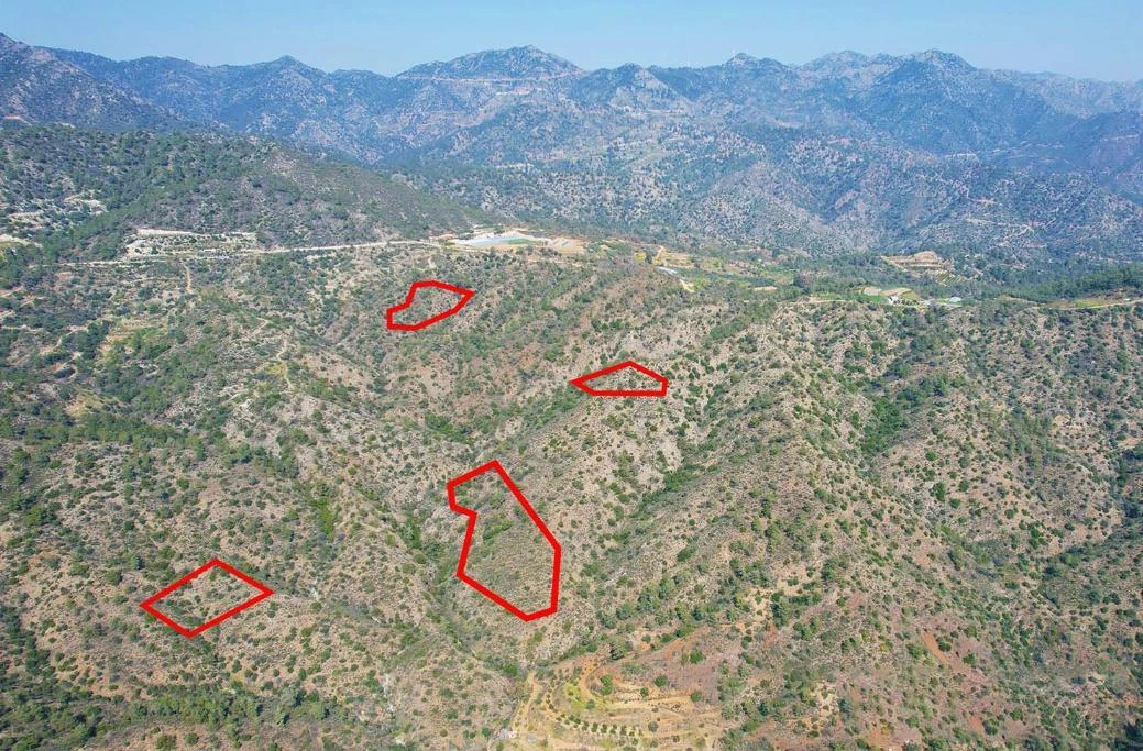 Four fields in Arakapas Limassol, image 1