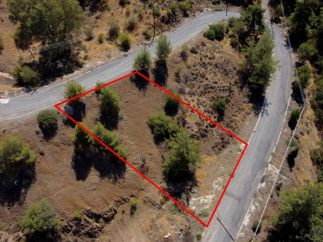 Agricultural plot in Evrychou Nicosia, image 1