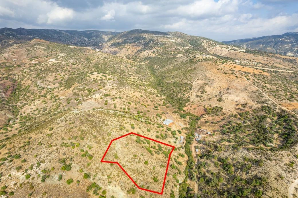 Shared agricultural field in Pegeia Paphos, image 1