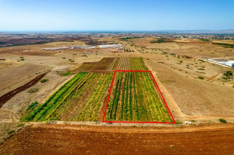 Agricultural field in Peristerona Nicosia, image 1