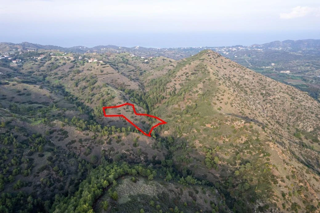 Shared agricultural field in Pigenia Nicosia, image 1