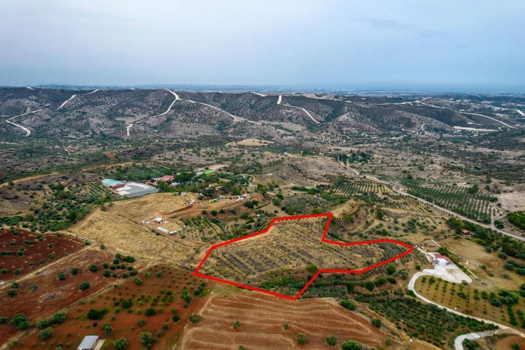 Agricultural field in Anglisides Larnaca, image 1