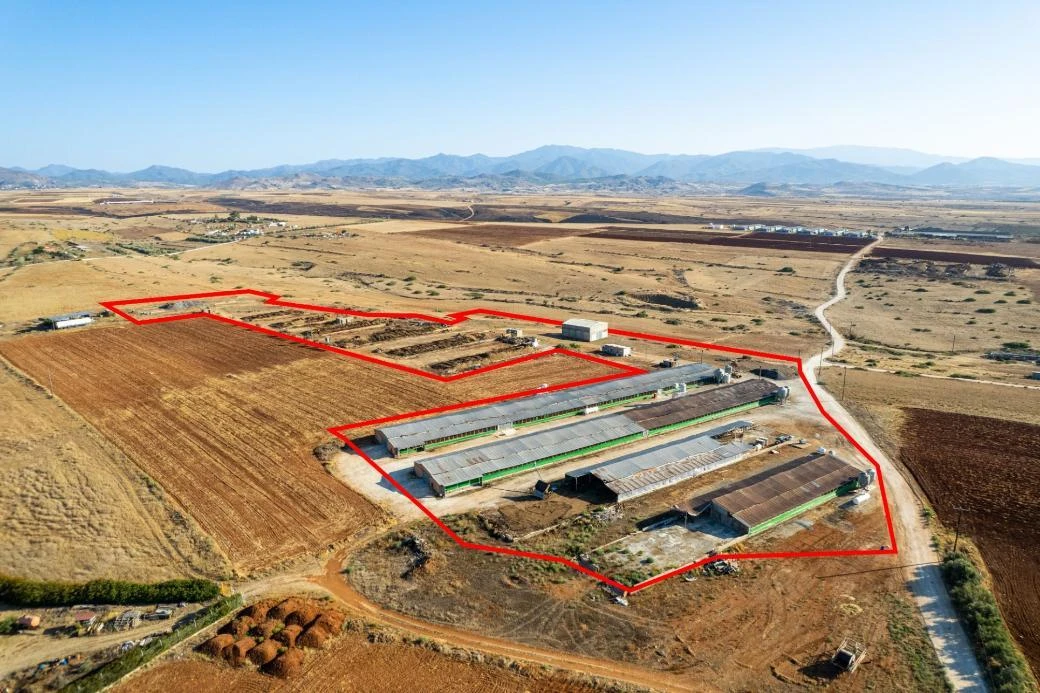 Agricultural field in Peristerona Nicosia, image 1